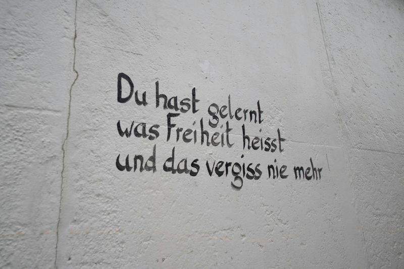 Frische Kräuter im Frühling: So gelingt der Saisonstart