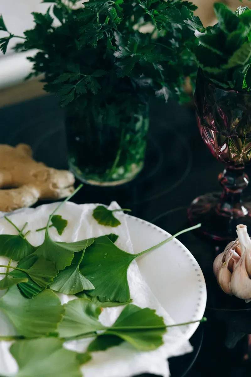 Belieferung von Gastronomie, Feinkost und Naturkosthandel